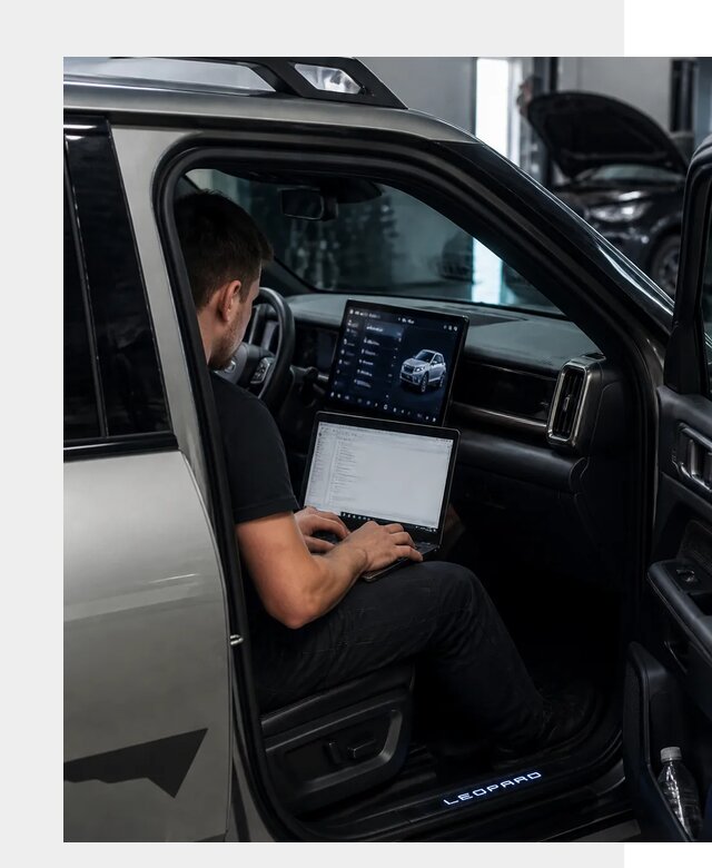 Русификация BYD Leopard 3 в Магнитогорске по цене от 20587 р. | ФастМобиль-Мгн